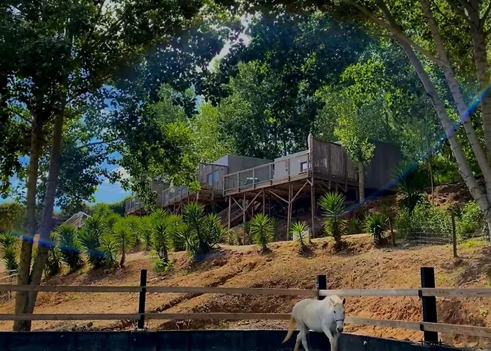 Equinatura - Silver Coast * 卡尔达斯达·赖尼亚